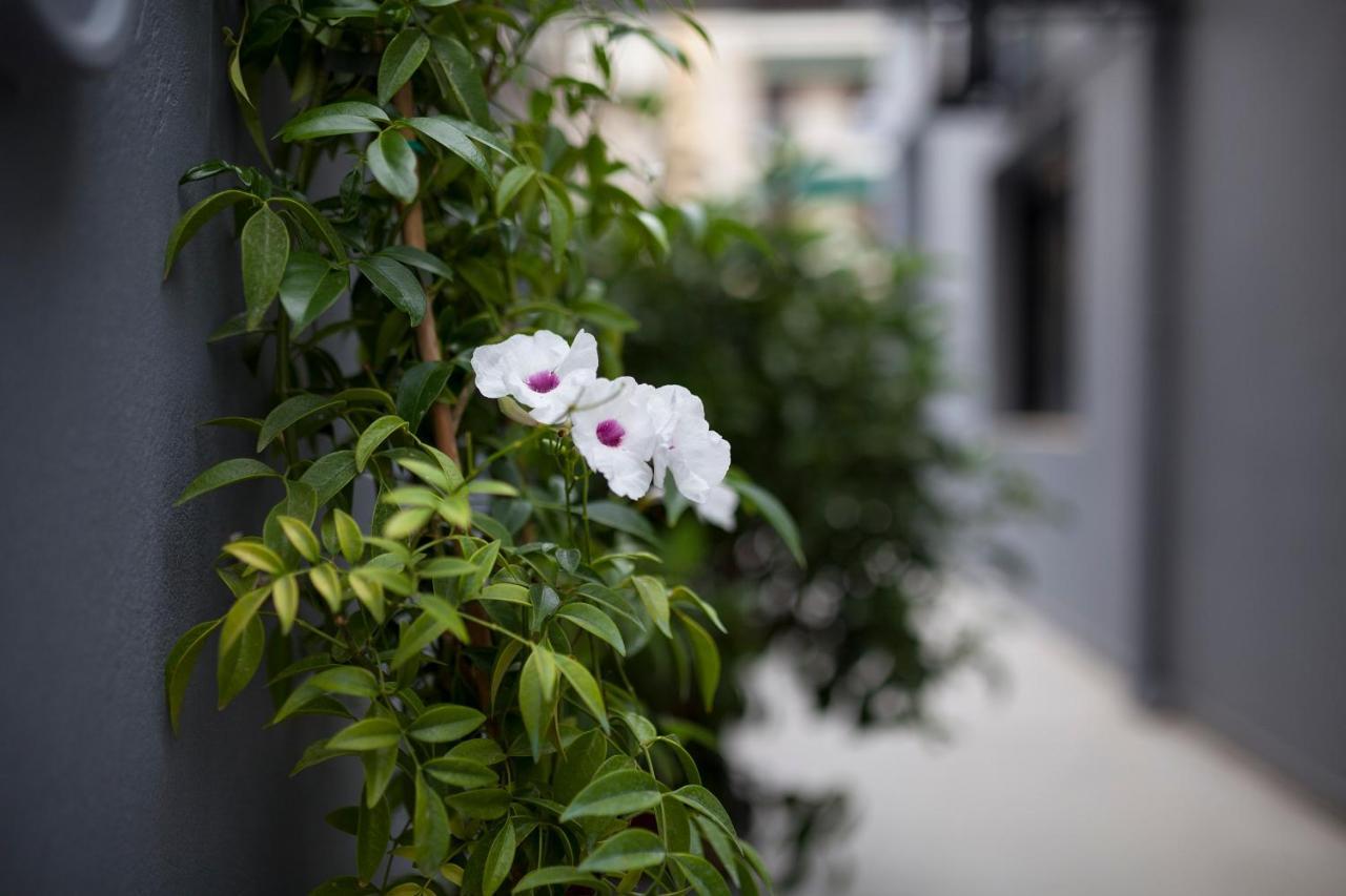 Spacious Flat With Courtyard And Private Parking! Athén Kültér fotó